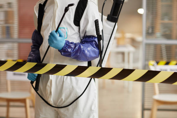 Professional Sewage Cleanup technician working in Baldwin, MD